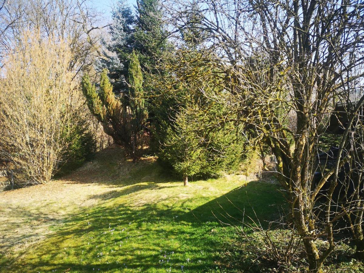 Ferienwohnung Dinkelbergblick Oeflingen Wehr  Exterior photo